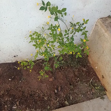 アパート Aura Azzurra カリーニ